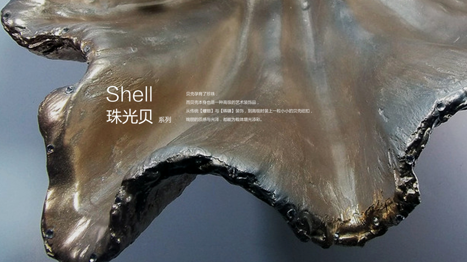 珠光貝01.png