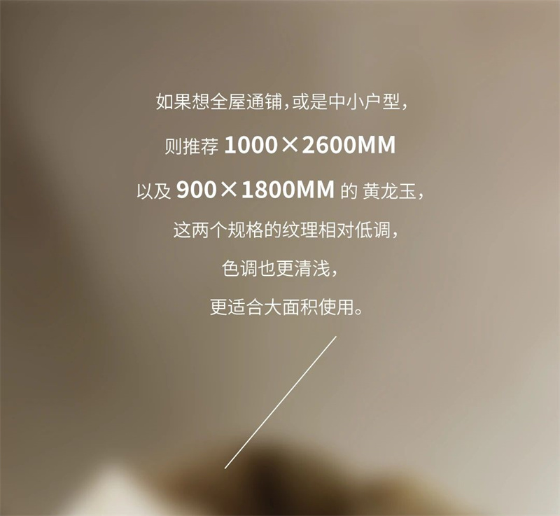 微信圖片_20250509091810.jpg